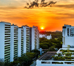 Blk 627A Tampines Greenverge (Tampines), HDB 4 Rooms #597760281